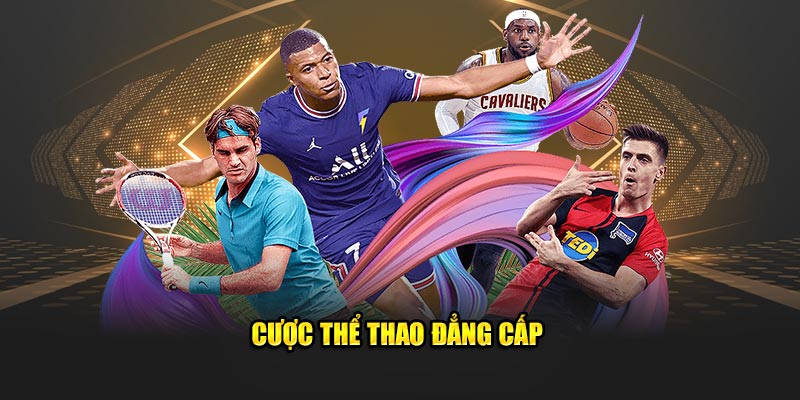 Cược thể thao 8kbet đẳng cấp