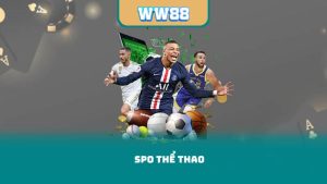 SPO Thể Thao - Những Sai Lầm Cần Tránh Khi Đặt Cược